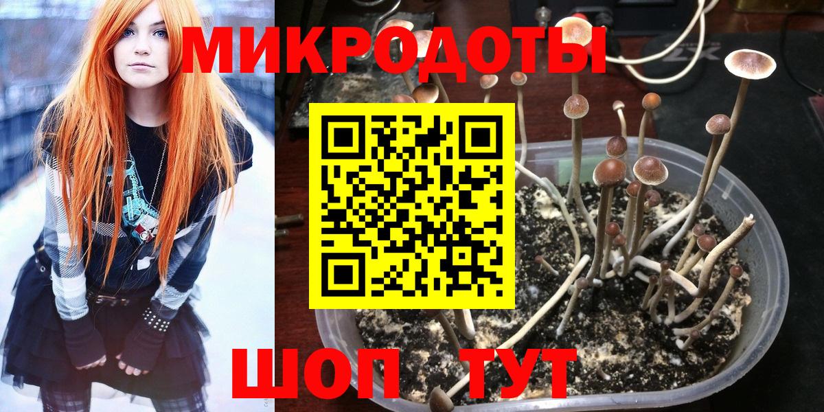 Галлюциногенные грибы прущие грибы  Вход с VPN  Тверь 
